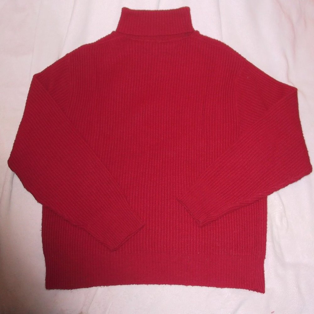 Turtle Neck Sweater